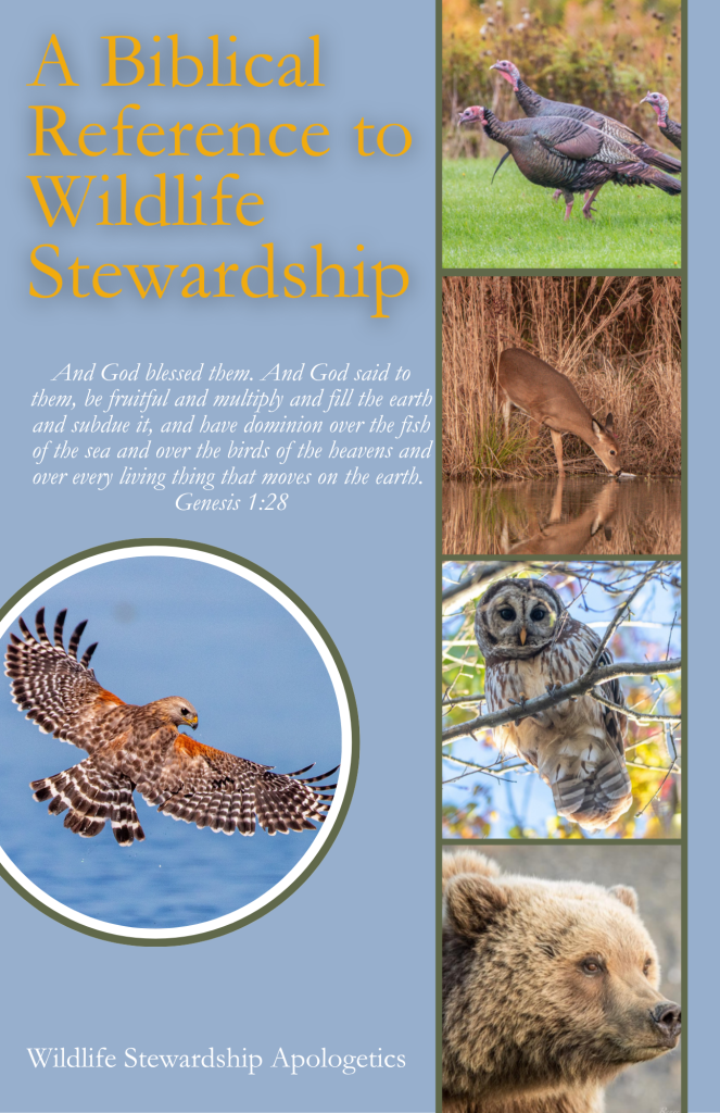 WSA Booklet
